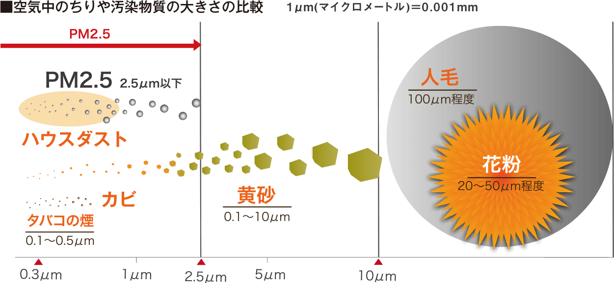 空気中のちりは汚染物質の大きさの比較図