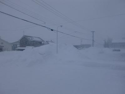 お！猛吹雪です