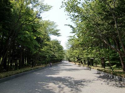北海道神宮と円山動物園 