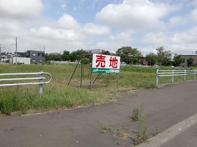 北海道らしい爽やかな晴天ですね 