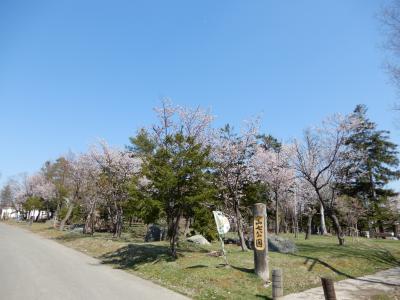 ≪新規分譲開始≫現地説明会開催！岩見沢市６条東７丁目