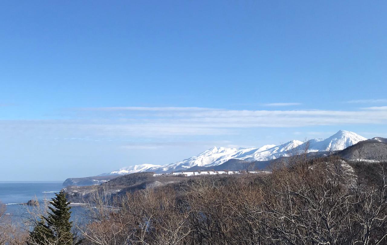 初春の風景