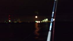 初ヒラメ