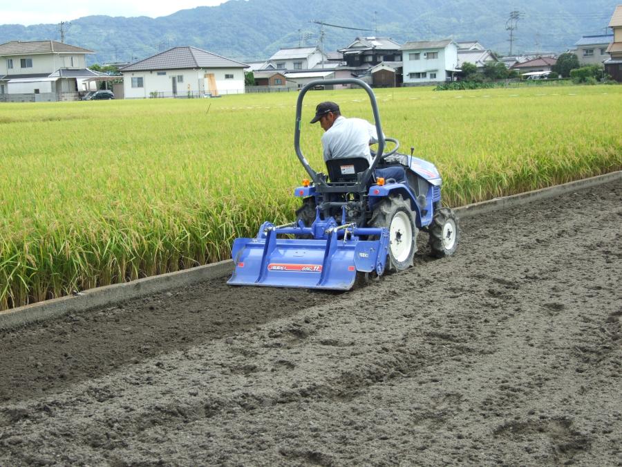 そばの種蒔きました。