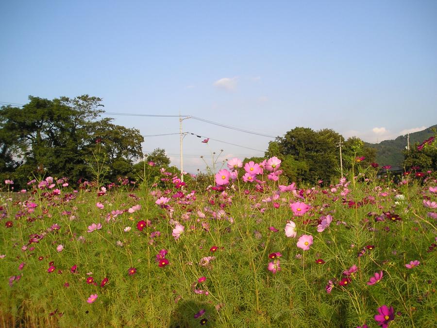 今日から10月