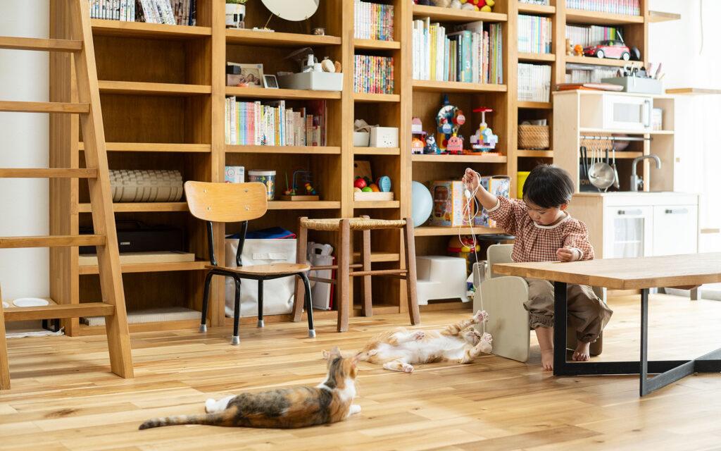 ［オーナー様宅見学会］7/5(土)Cat shelf & Book shelf の家