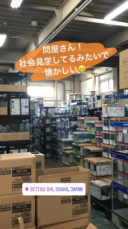 【変化すること(*^▽^*)】