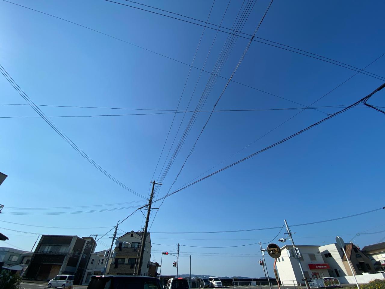 【花粉症は改善されました】
