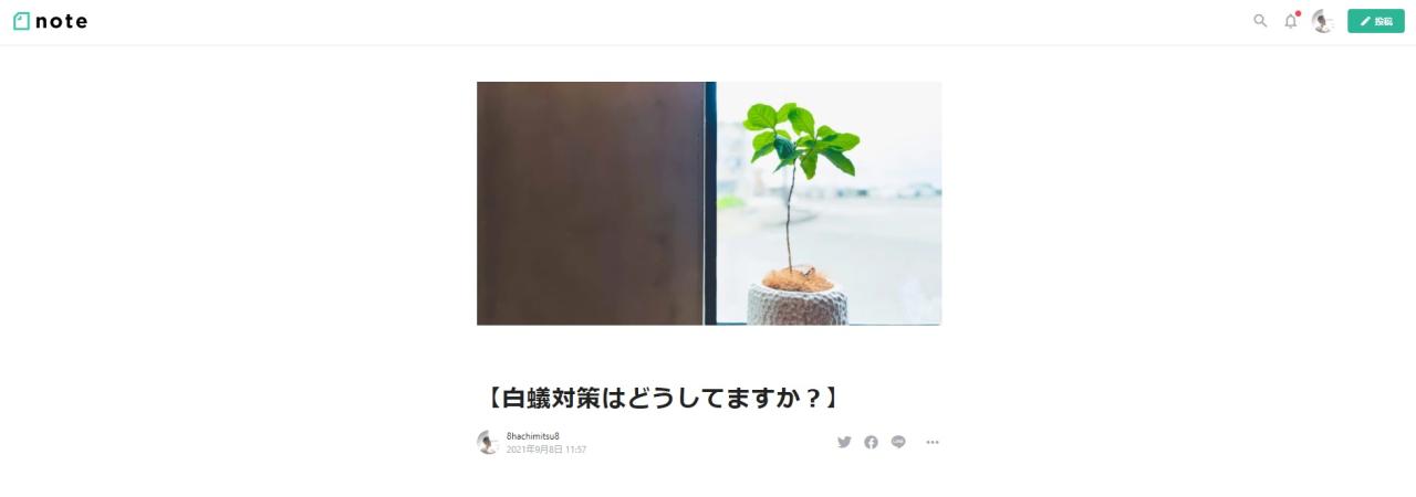 【note▶白蟻対策はどうしていますか?】