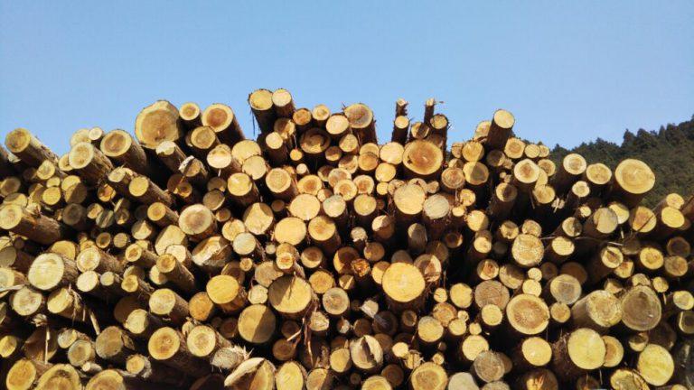 今日は「最近の木材価格」についてのお話です。