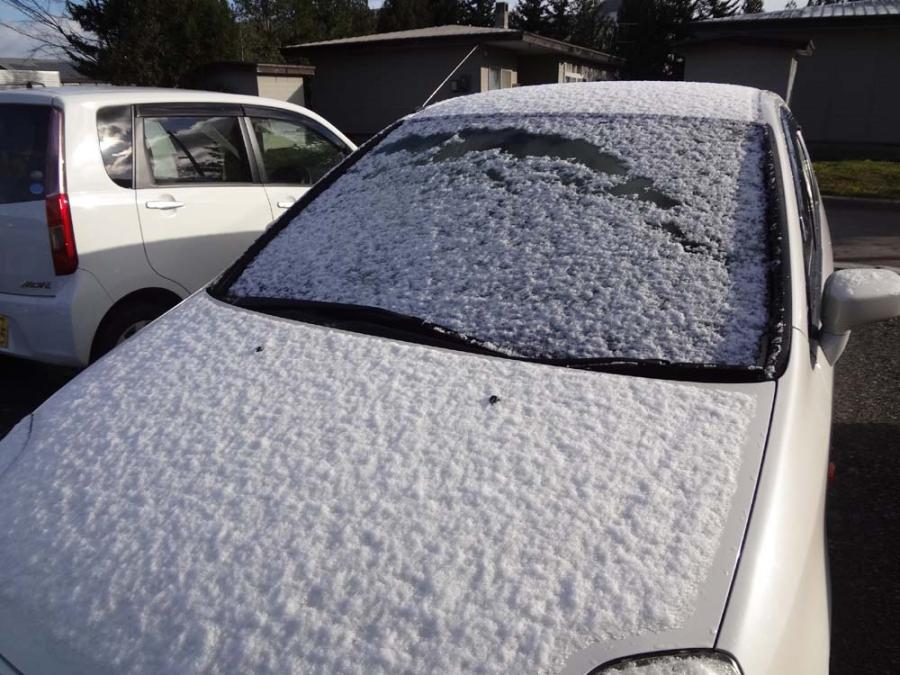 ついに雪！