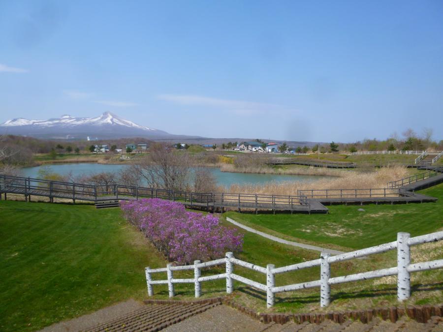 ひょうたん沼公園